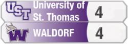 Waldorf Hockey Ties